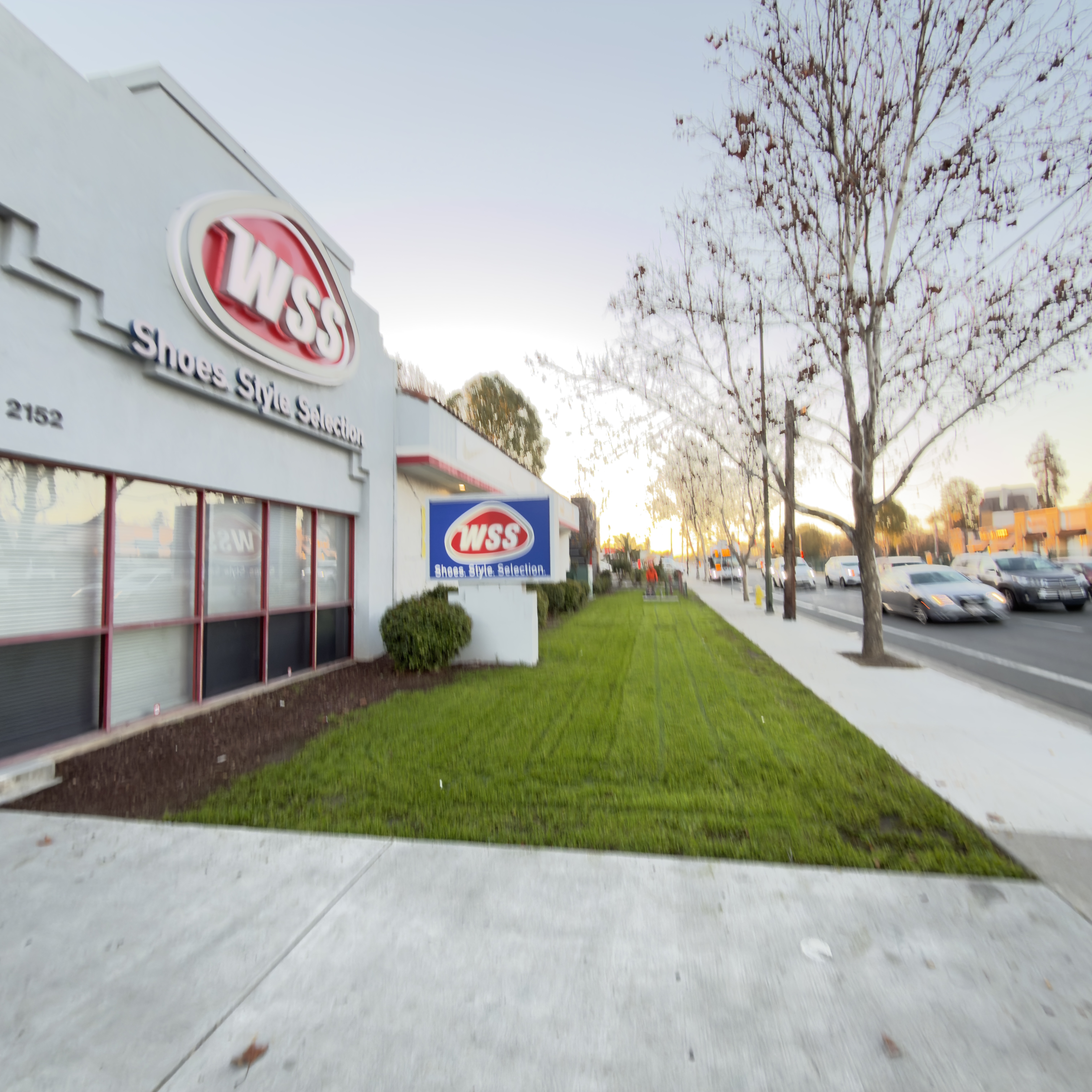 Commercial Landscape