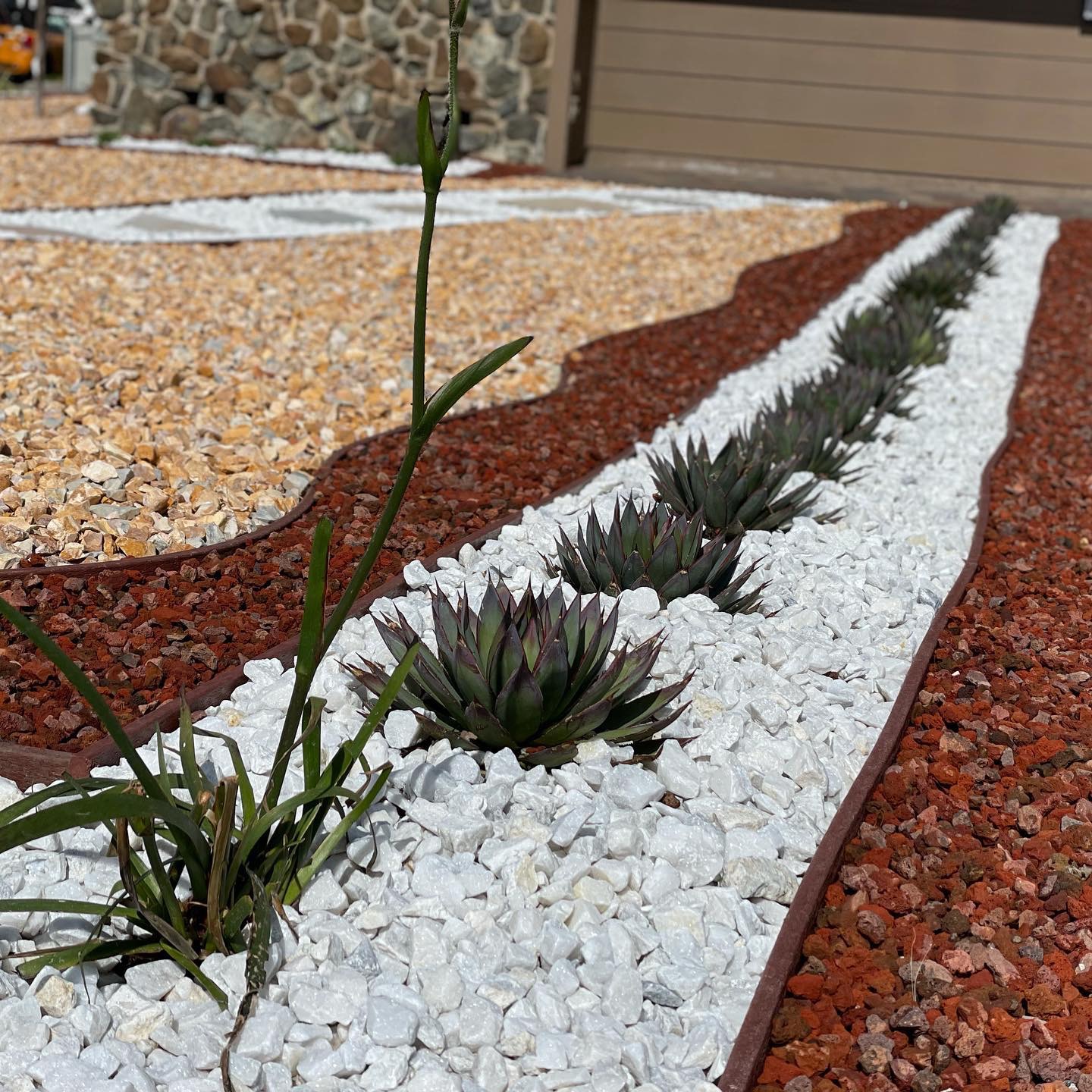 Drought-Tolerant Landscape