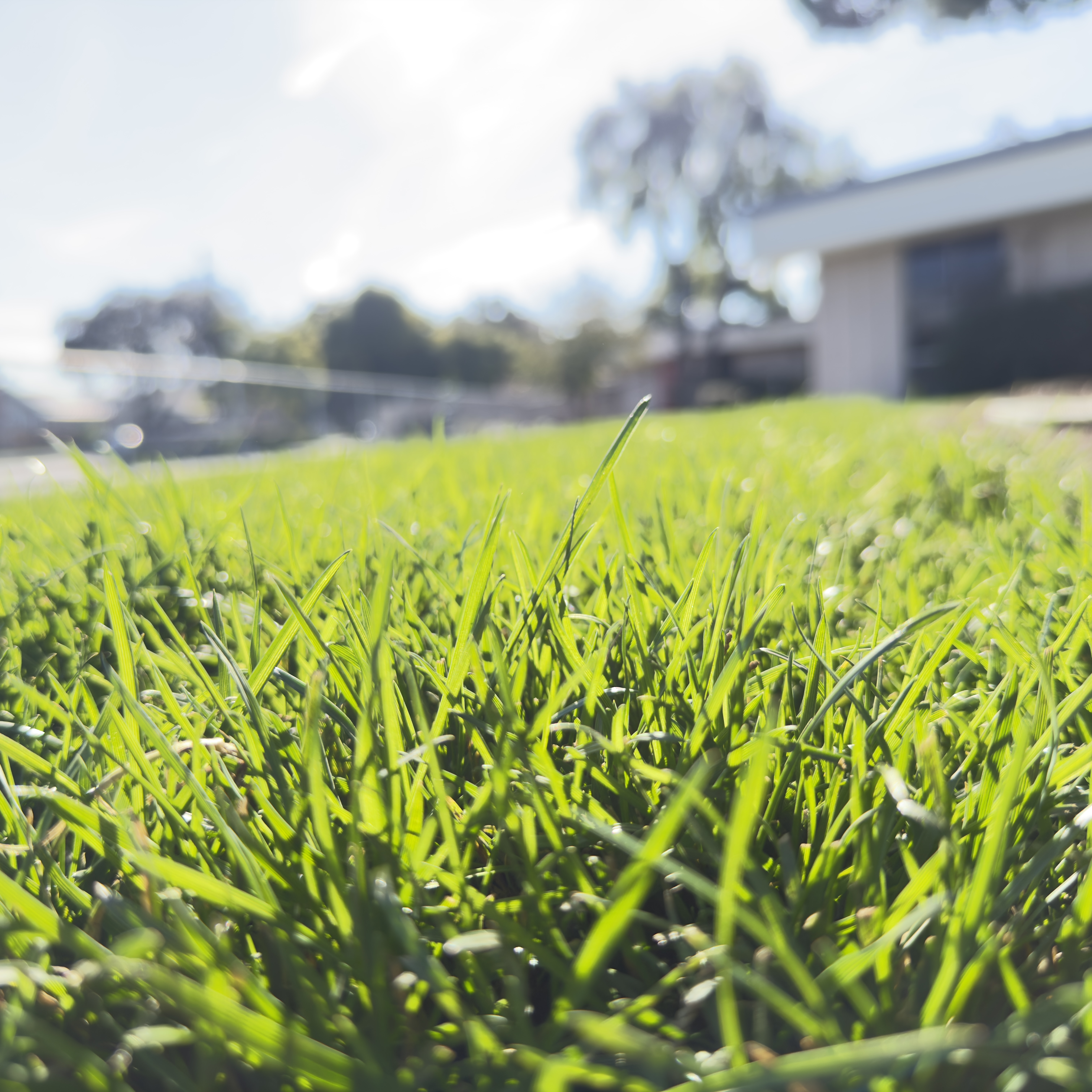 Get Pro Landscaping 2.0