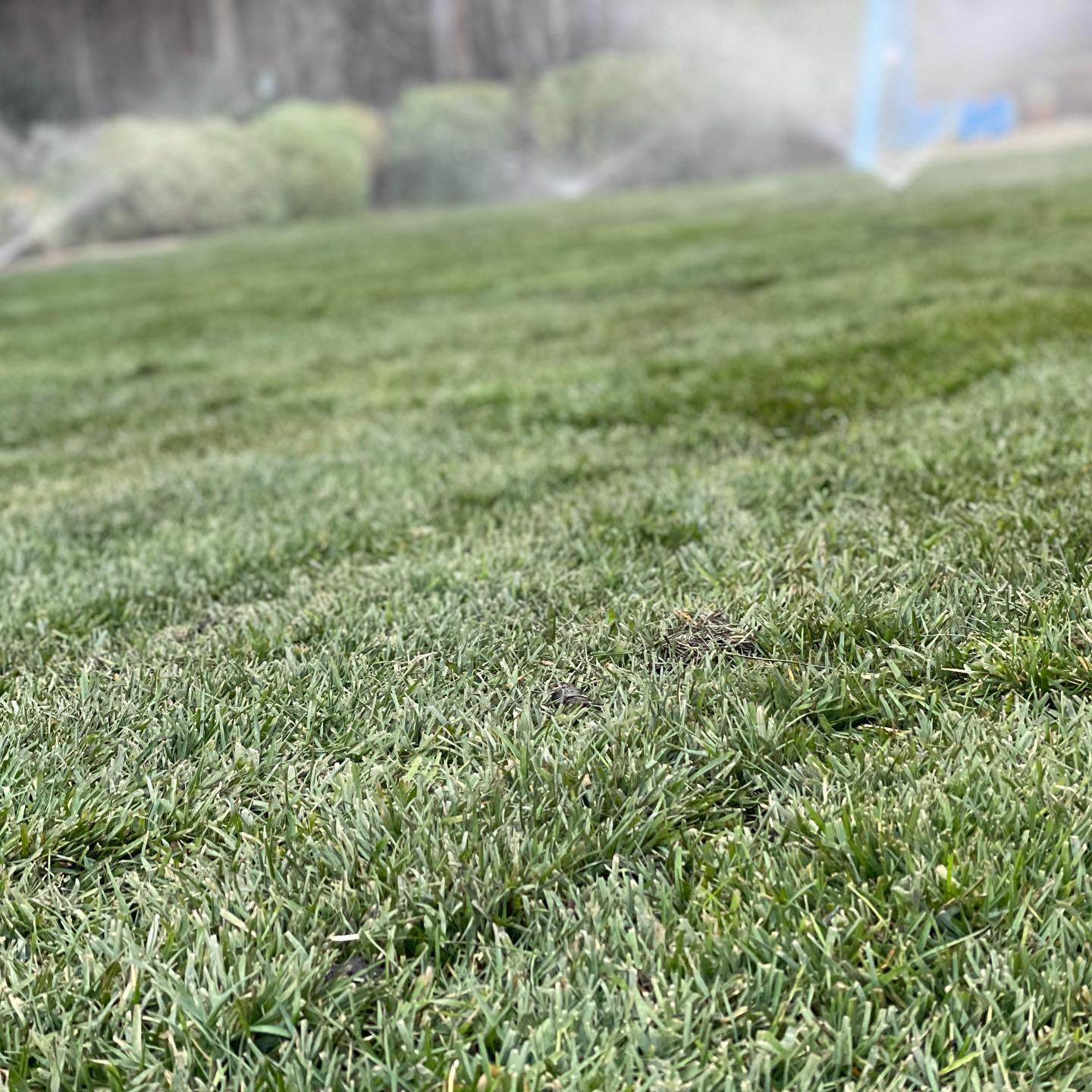 Irrigation and Water Management