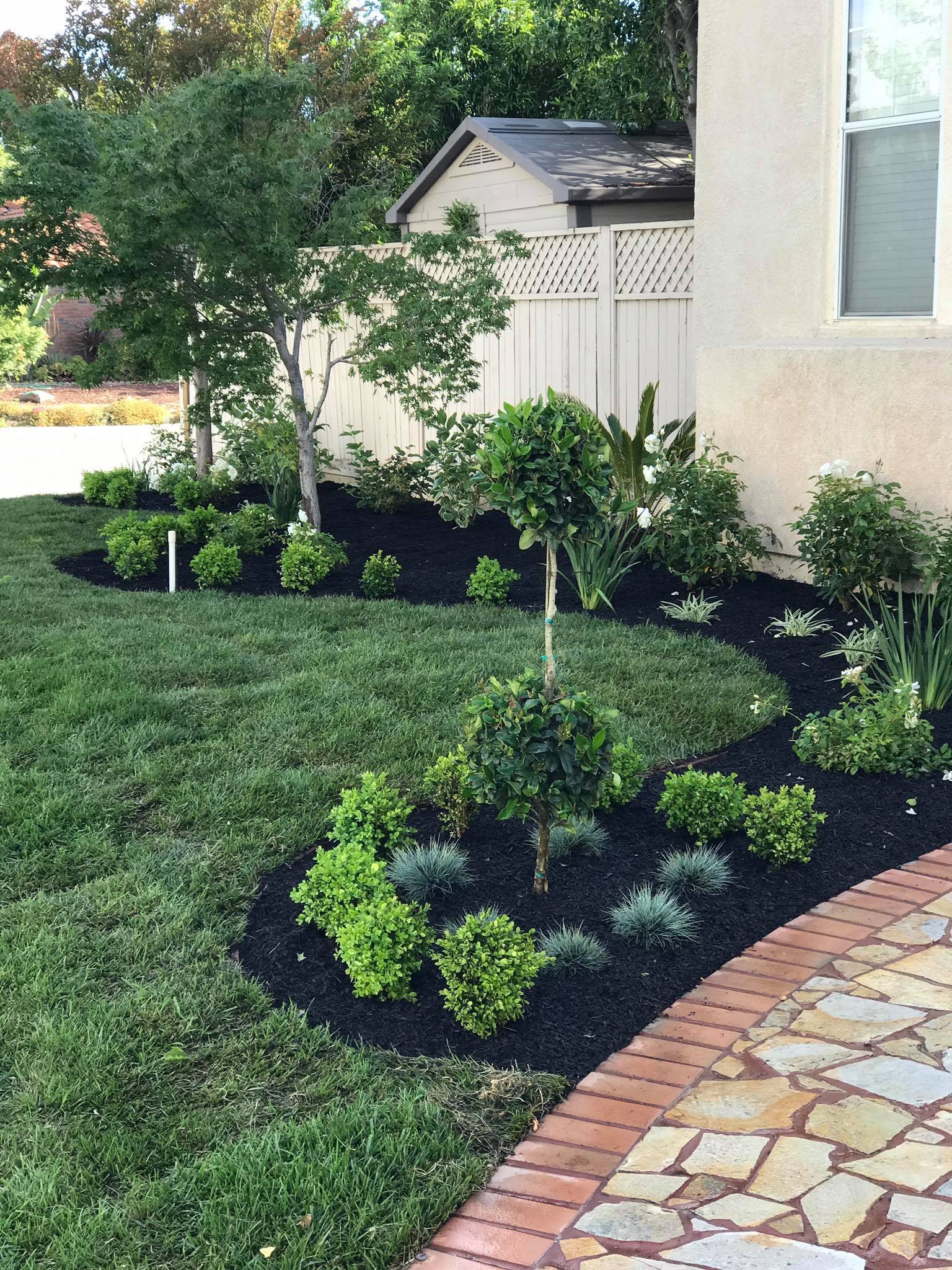 Planting and Garden Design