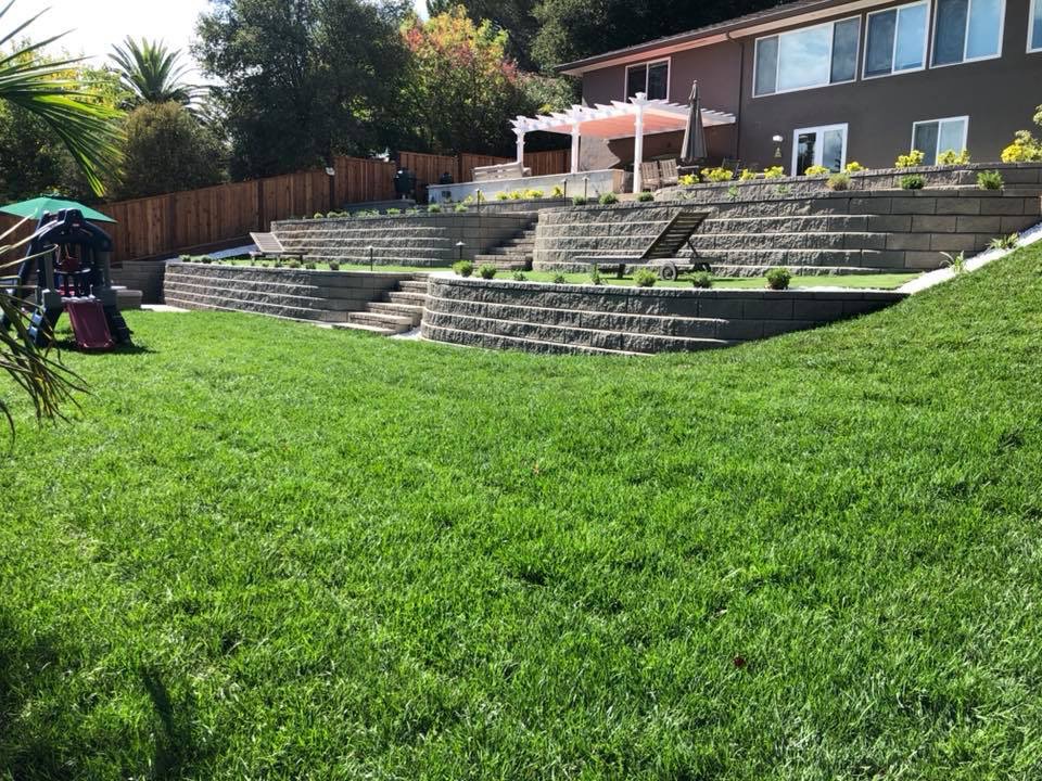 Lawn Renovation and Sod Installation
